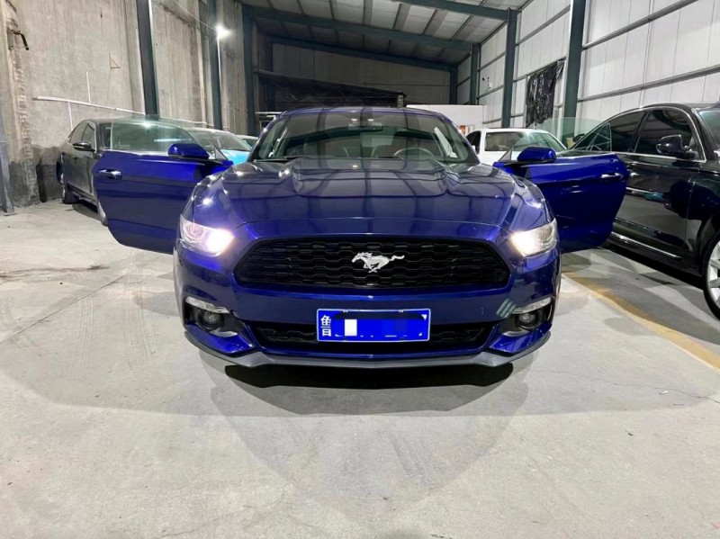 抵押車使用權年限